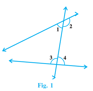 Page 153 Chapter 15 Class 9th NCERT Exemplar